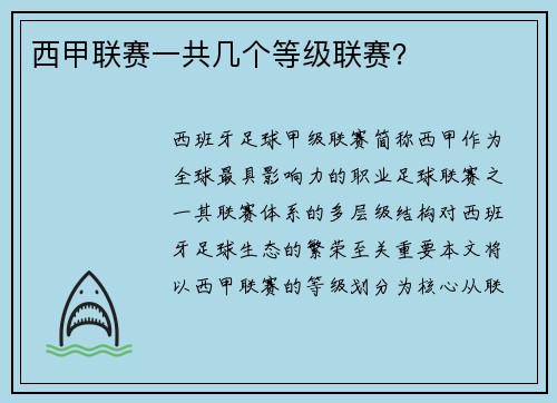 西甲联赛一共几个等级联赛？