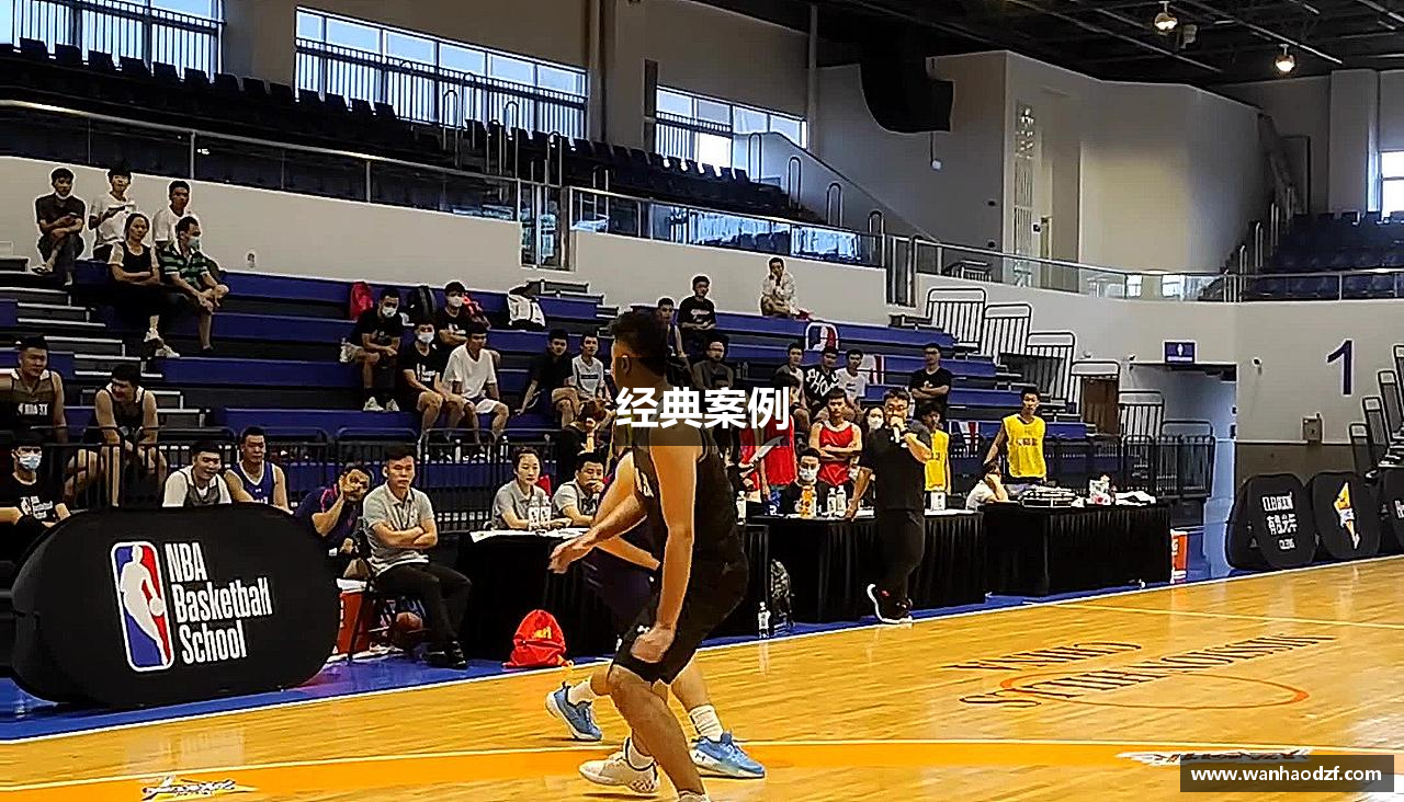 经典案例